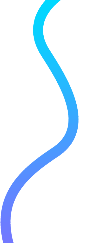 Shape
